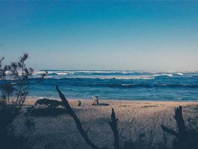 Editorial Content for Silent Bones: A Karen Pirie Novel