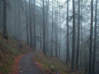 Bookstore Revival: A Nostalgic Journey Back to the Love of Reading