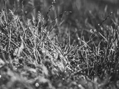 Editorial Content for Every Day I Read: 53 Ways to Get Closer to Books