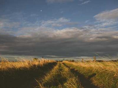 Editorial Content for Lightbreakers