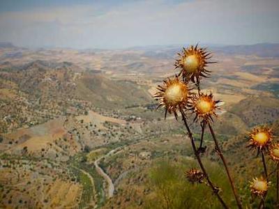 Editorial Content for Trust No One 