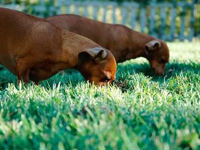 Why Are Book Club Picks Always So Heavy? How About Some Fantasy, Sci-Fi, and Romantasy Instead!