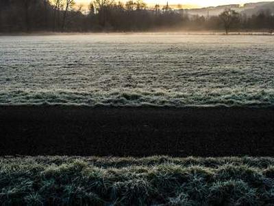 Editorial Content for Every Day I Read: 53 Ways to Get Closer to Books